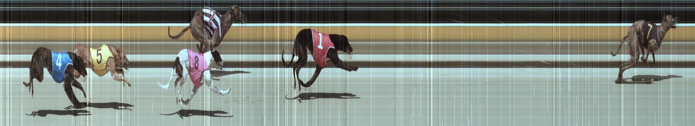 Fields & Form - Angle Park - Race 5