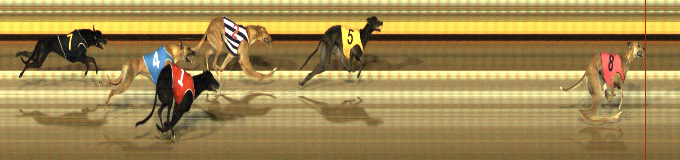 Results - Gawler - Race 9