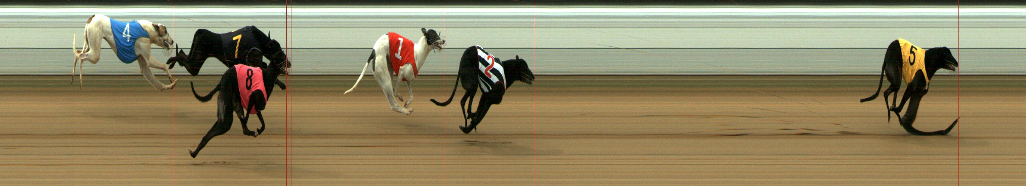 Results Mount Gambier Race 9