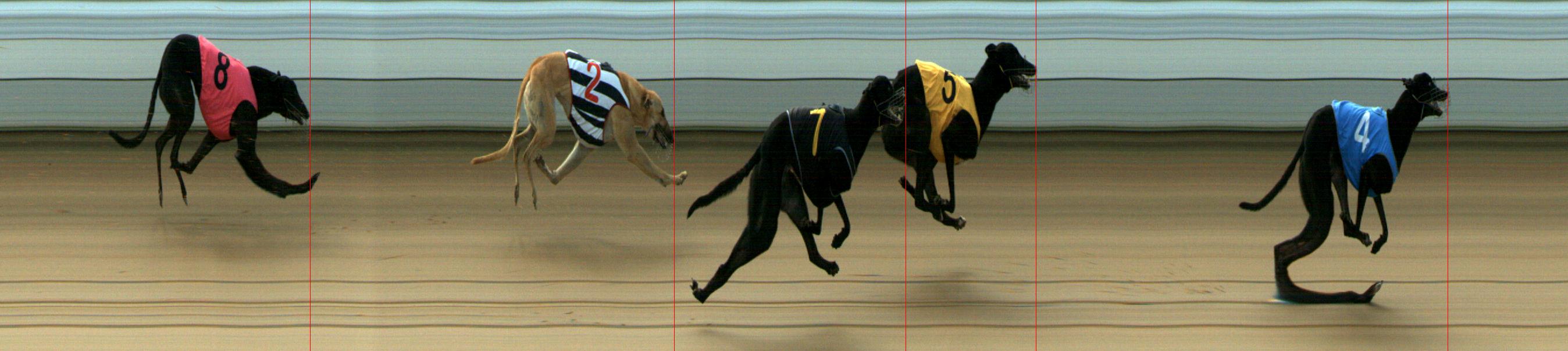 Results Mount Gambier Race 3