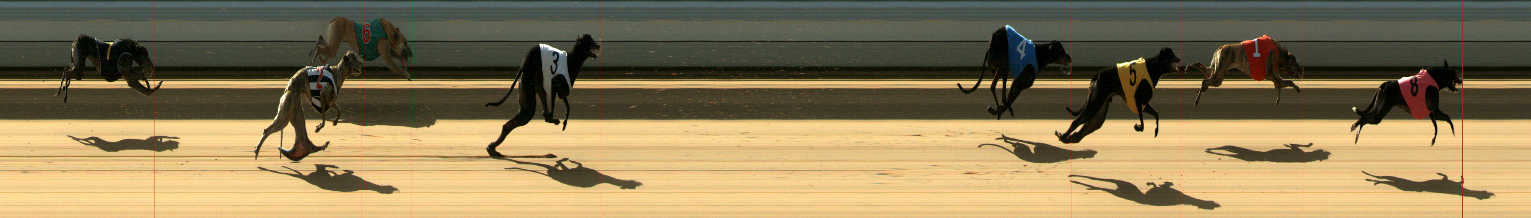 Results Mount Gambier Race 4