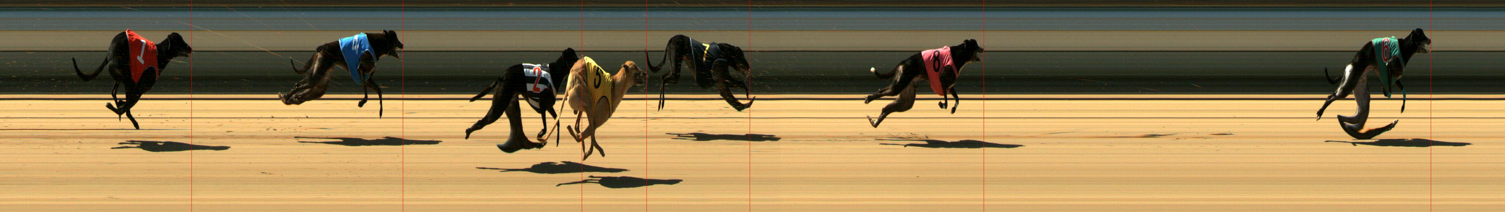 Results Mount Gambier Race 7