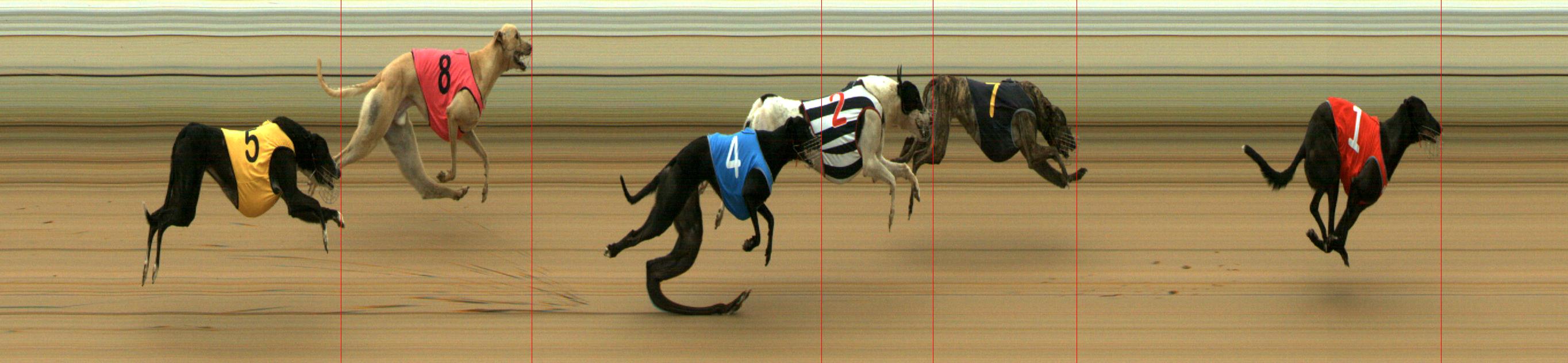 Results Mount Gambier Race 5