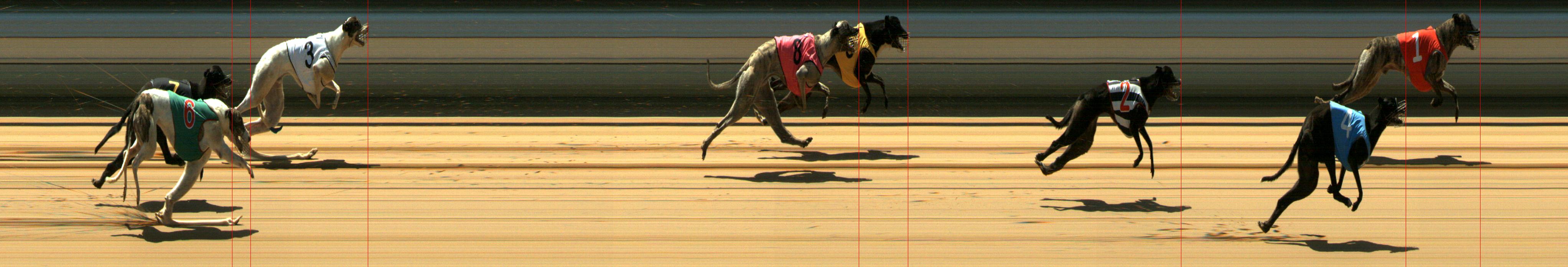 Results Mount Gambier Race 5