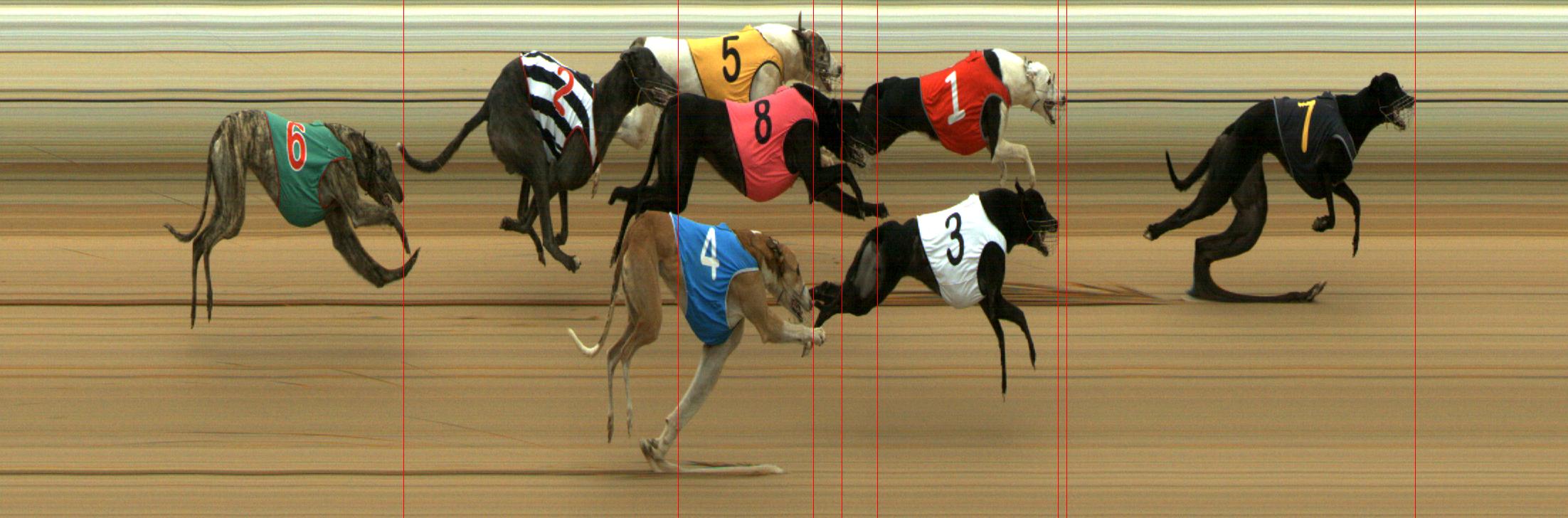 Results Mount Gambier Race 7