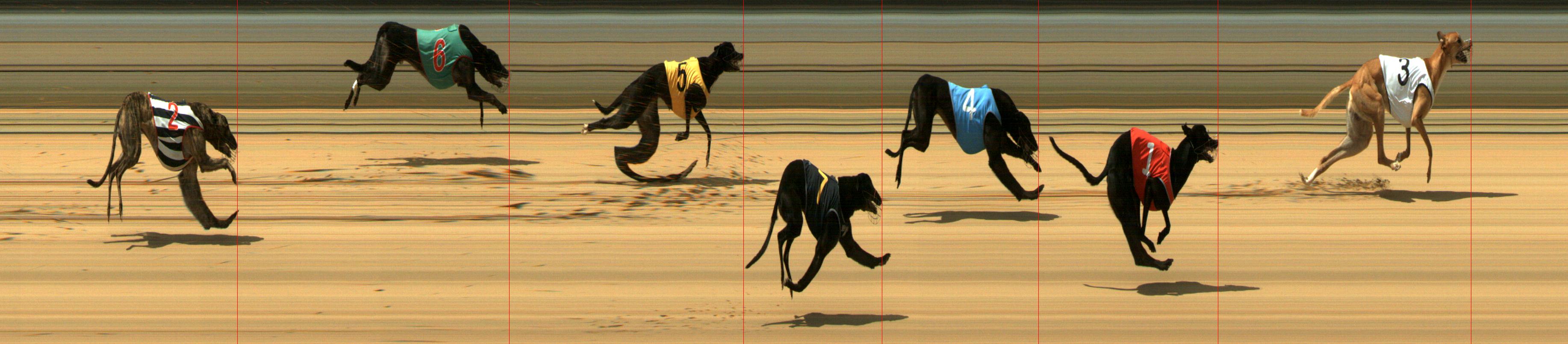 Results Mount Gambier Race 10