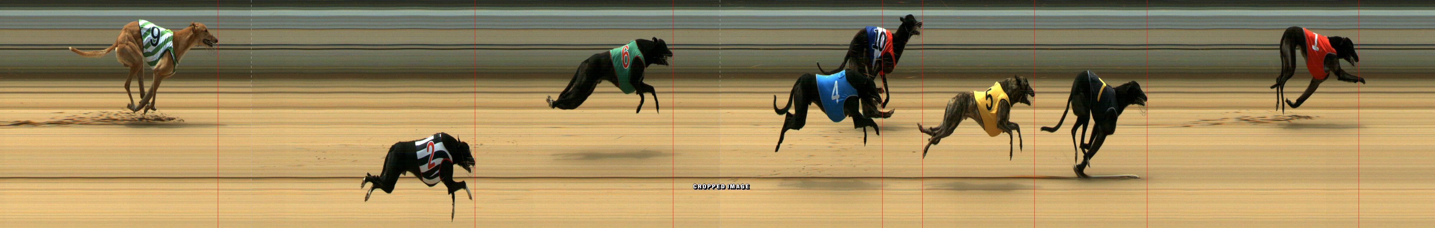 Results Mount Gambier Race 6