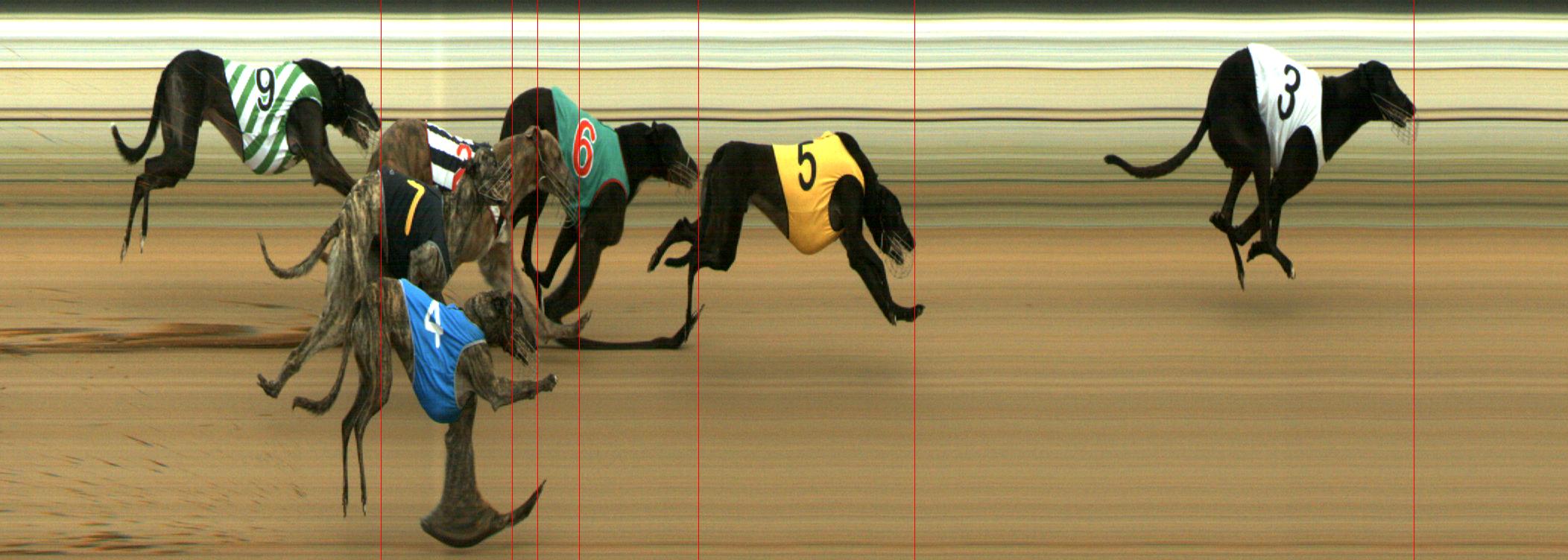 Results Mount Gambier Race 6