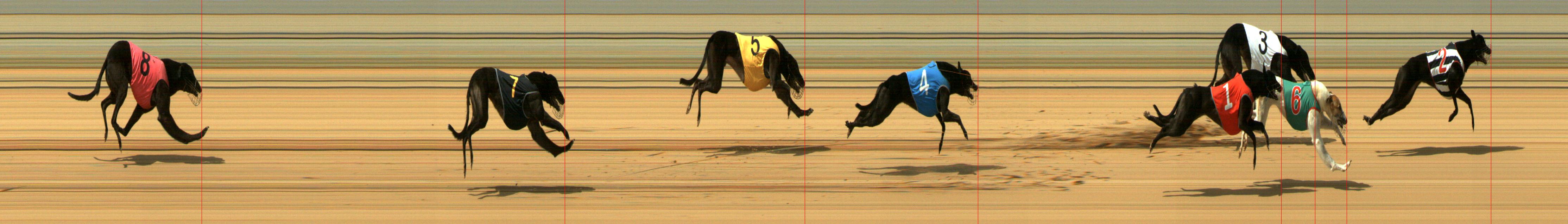 Results Mount Gambier Race 12