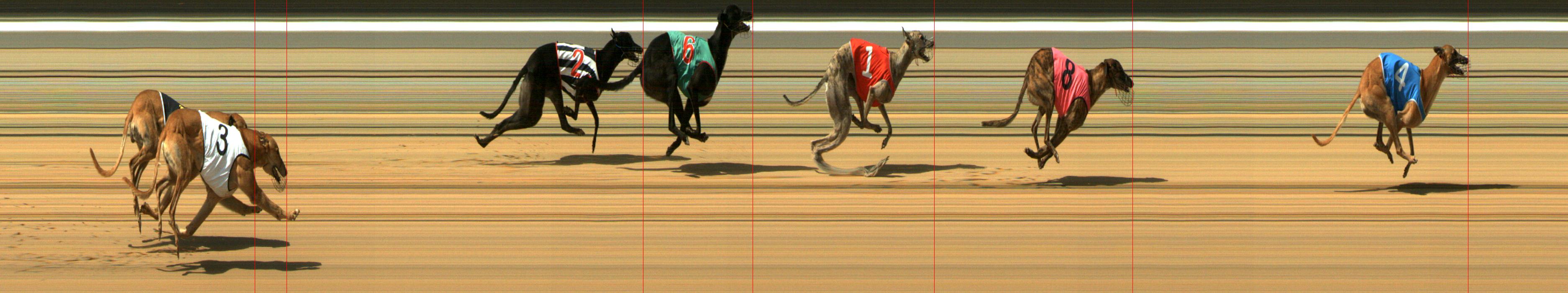 Results Mount Gambier Race 12