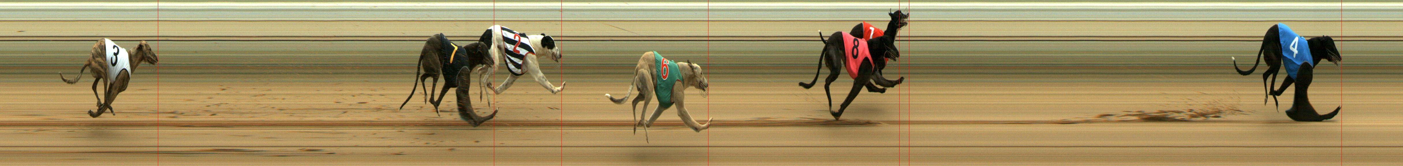 Results Mount Gambier Race 5