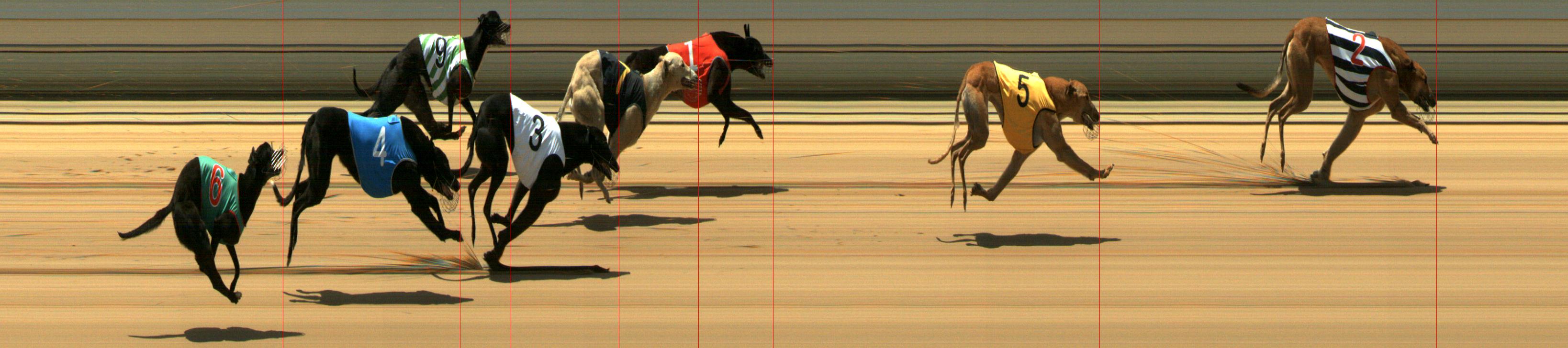 Results Mount Gambier Race 7