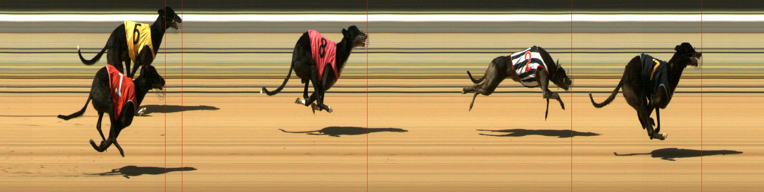 Results Mount Gambier Race 12