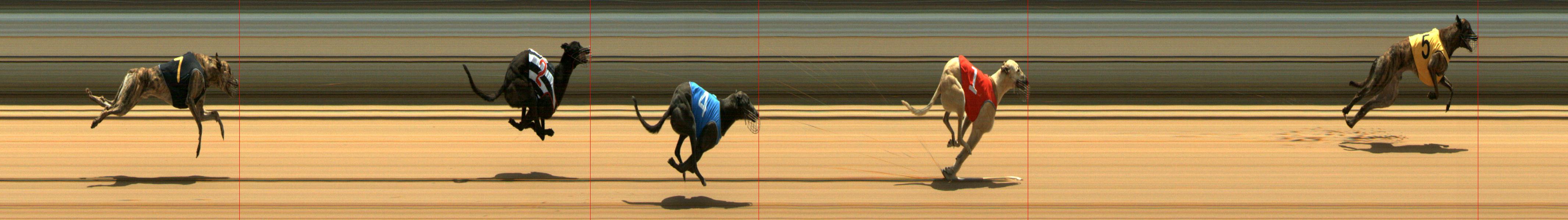 Results Mount Gambier Race 2