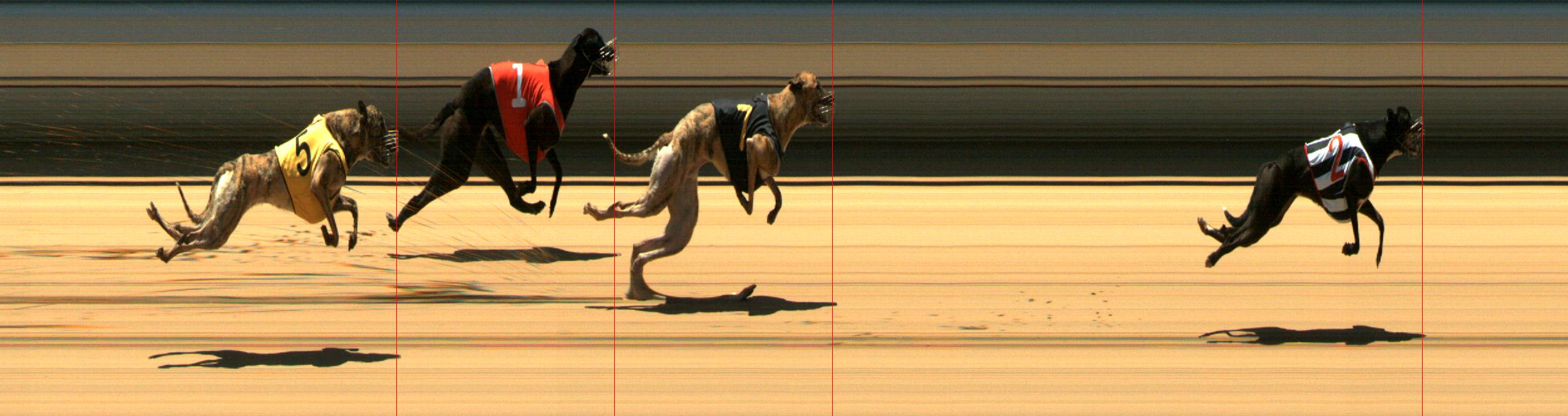 Results Mount Gambier Race 1