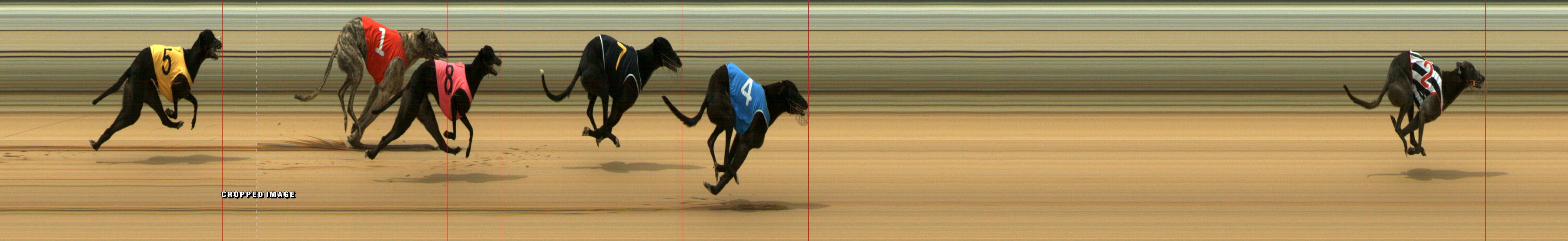 Results Mount Gambier Race 12