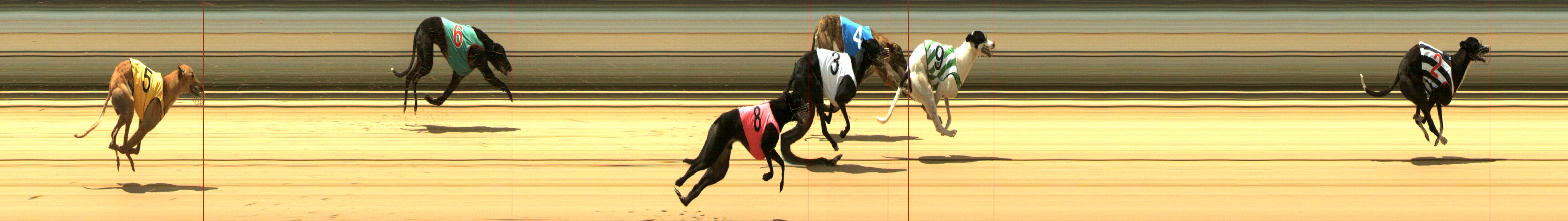 Results Mount Gambier Race 7