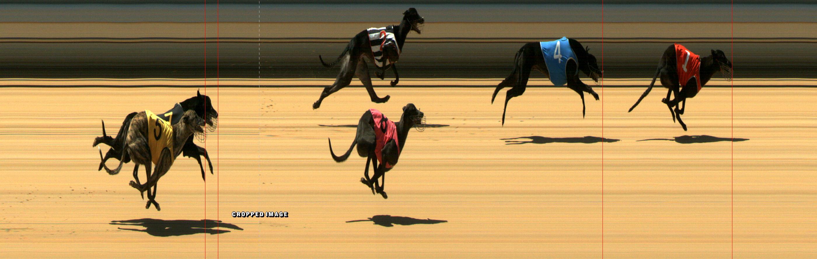 Results Mount Gambier Race 10