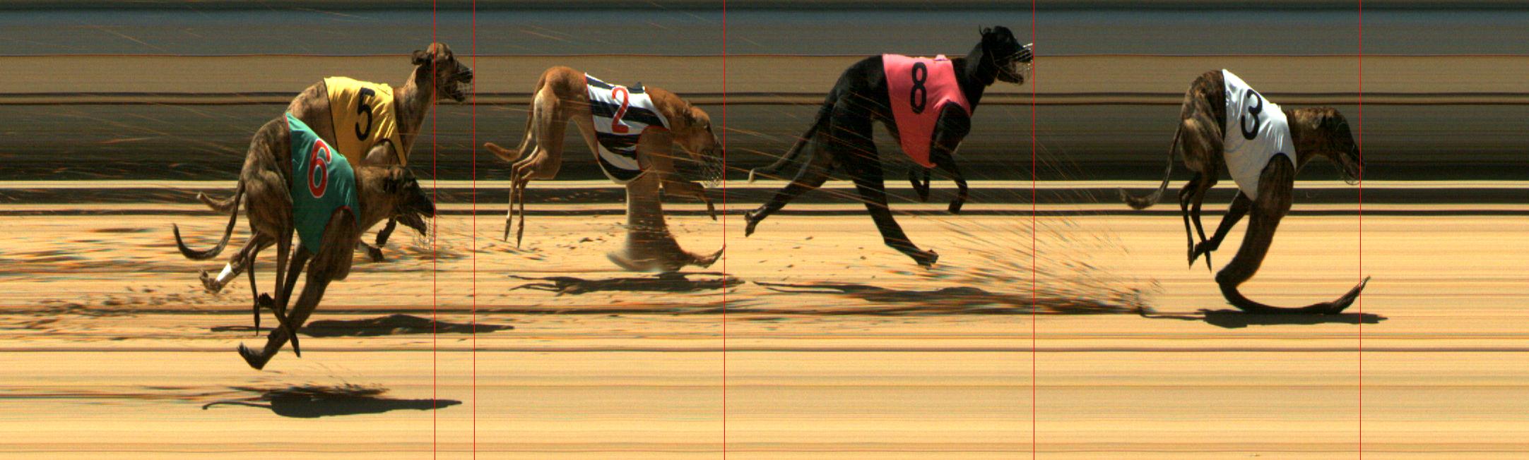 Results Mount Gambier Race 8