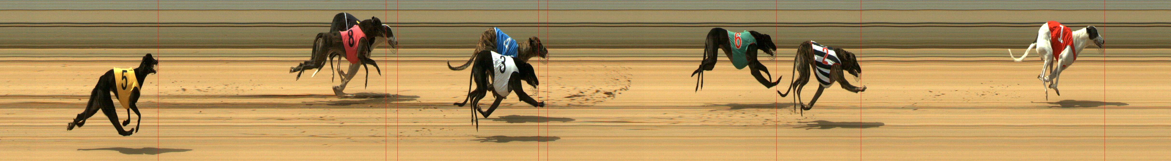 Results Mount Gambier Race 12